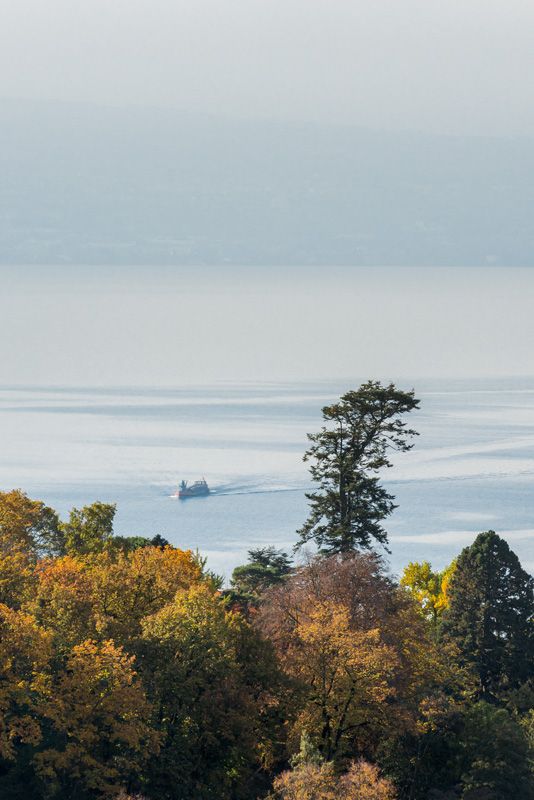 © Marino Trotta – Ville de Lausanne